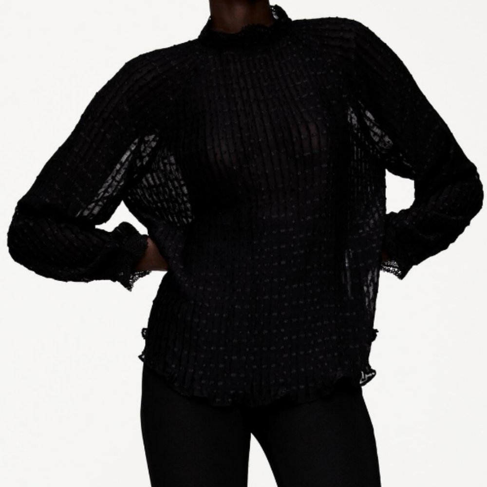 🔥MOVING SALE🔥NEW ZARA SWISS DOT BLOUSE Sheer